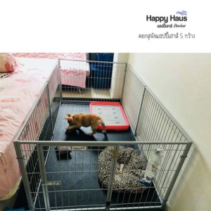 รีวิวคอกสุนัข คอกหมา S กว้าง แฮปปี้เฮาส์ French Bulldog