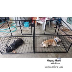 รีวิวคอกสุนัข คอกหมา S แฝด แฮปปี้เฮาส์ French Bulldog