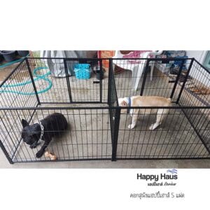 รีวิวคอกสุนัข คอกหมา S แฝด แฮปปี้เฮาส์ French Bulldog