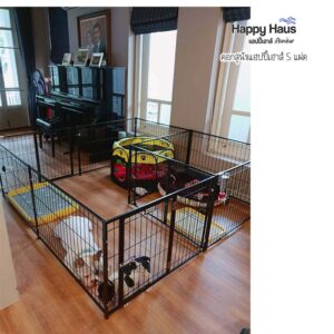 รีวิวคอกสุนัข คอกหมา S แฝด แฮปปี้เฮาส์ French Bulldog