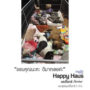 รีวิวคอกสุนัข คอกหมา S กว้าง แฮปปี้เฮาส์ French Bulldog